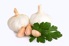 garlic